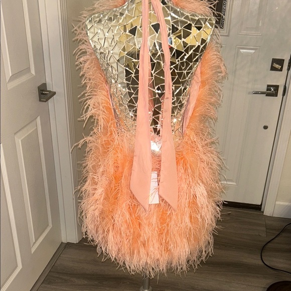SAFFIYYAH PAUL Ostrich Feather Peach High Neck Open Back Mini Dress M/L - Picture 7 of 16